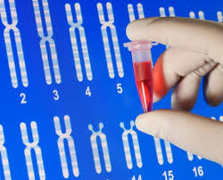 The Brave New World of Genetic Testing and Insurers